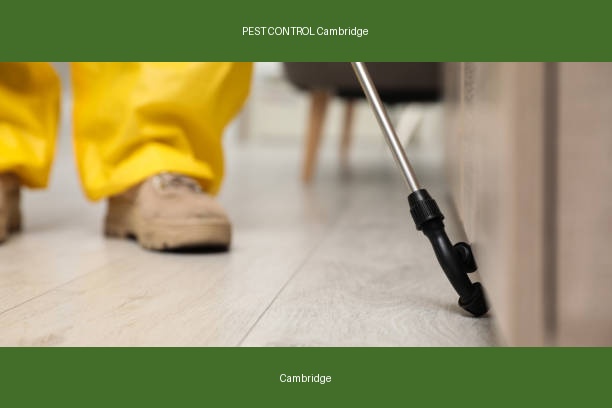 PEST CONTROL Cambridge